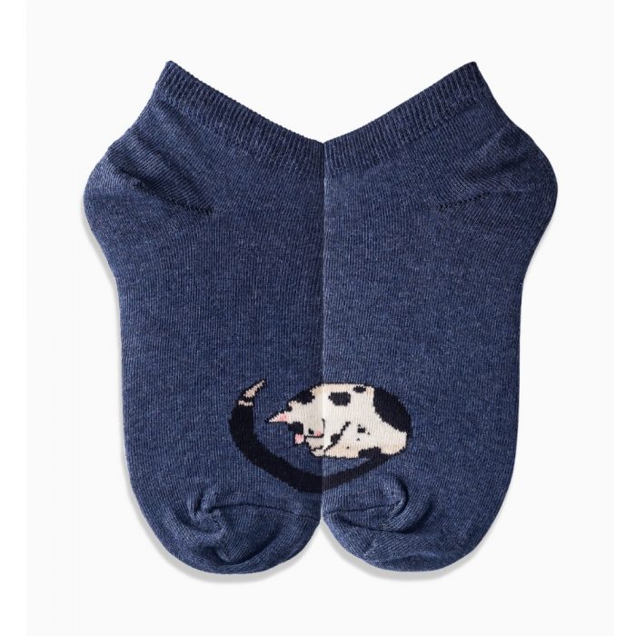 Griffon Socks Socken Low dog cats box farbe