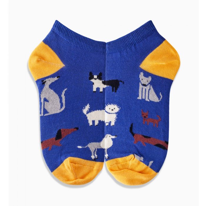 Griffon Socks Socken Low dog cats box farbe blau/gelb