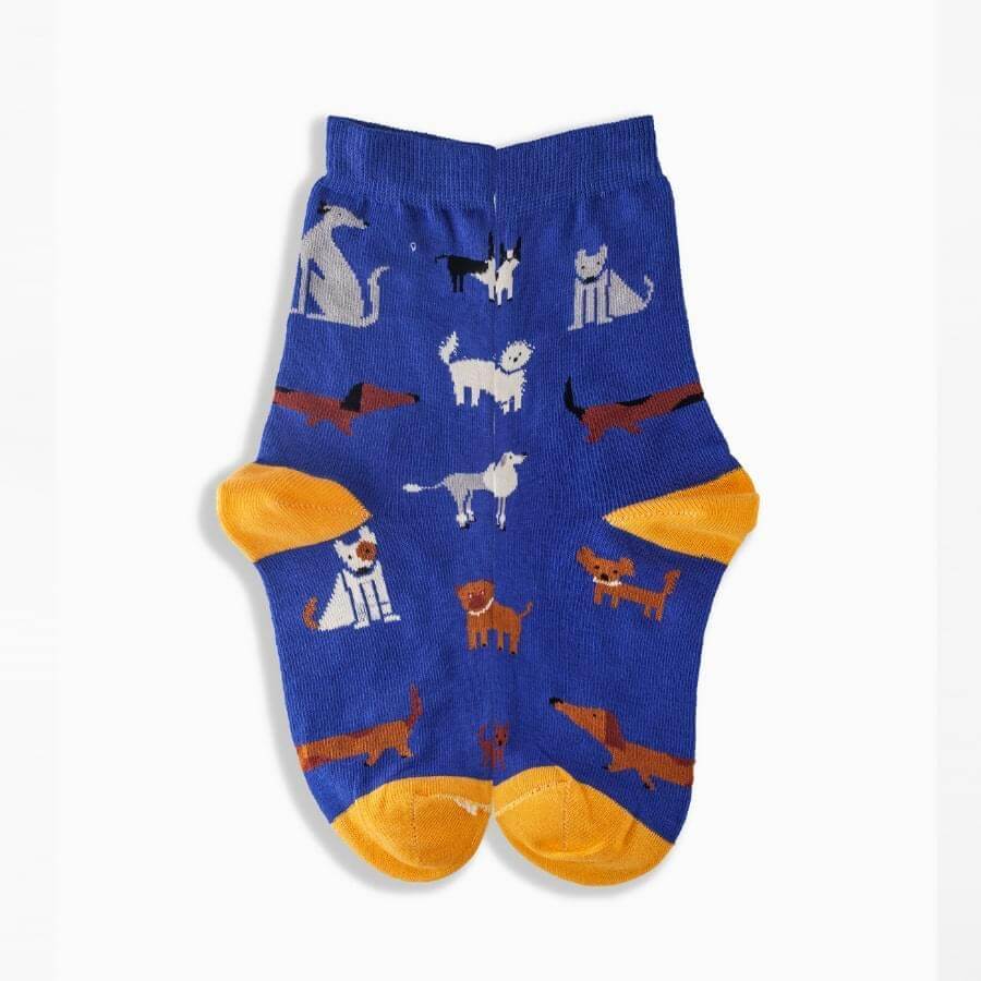 Griffon Bunte Socken Dog Cats farbe violet