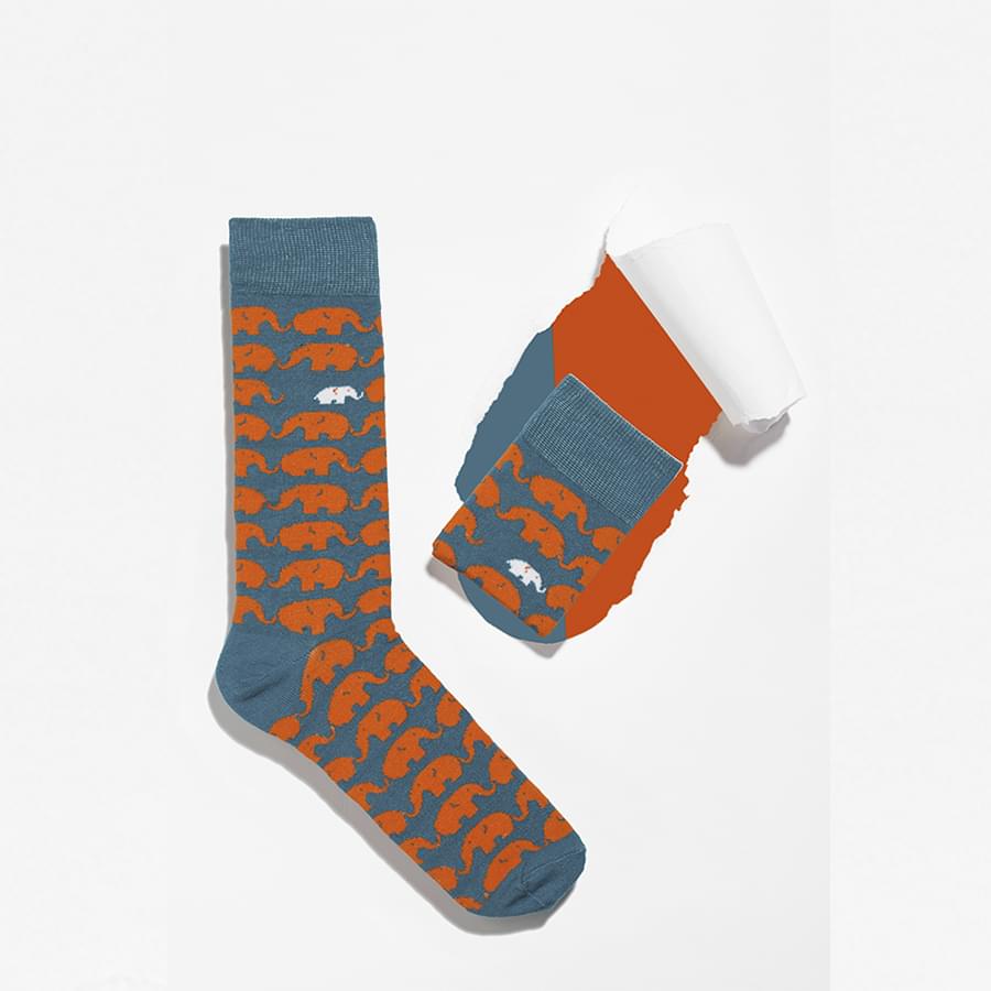 Bunte Socken Griffon Animal Box Farbe orange
