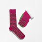 Preview: Bunte Socken Griffon Animal Box Farbe pimk