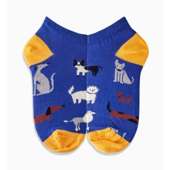 Griffon Socks Socken Low dog cats box farbe blau/gelb