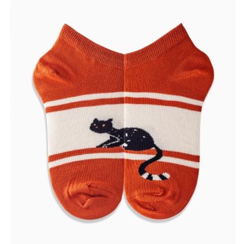 Griffon Socks Socken Low dog cats box farbe orange